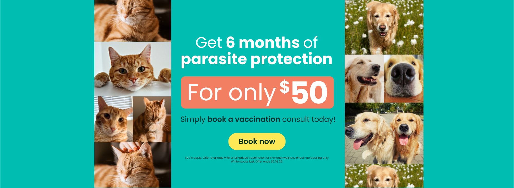 Get 6 months of parasite protection for only $50. Simply book a vaccination consult today. T&C's apply. Offer ends 30.09.26.