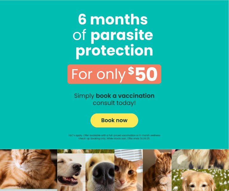 6 months of parasite protection for only $50. T&C's apply. Offer ends 30.09.26.